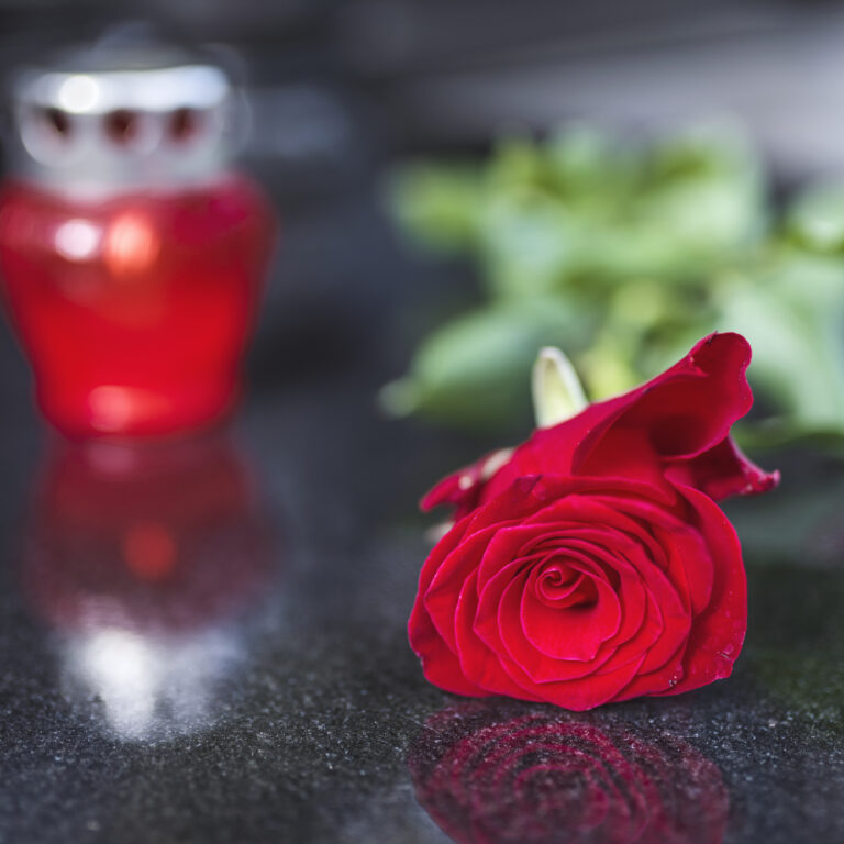 Red rose on the tombstone. Rose in a cemetery with headstone. Red rose flower on a grave in a cemetery. Flower at a funeral. Tragedy and sorrow for the loss of a loved one.