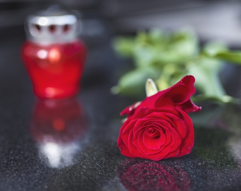 Red rose on the tombstone. Rose in a cemetery with headstone. Red rose flower on a grave in a cemetery. Flower at a funeral. Tragedy and sorrow for the loss of a loved one.